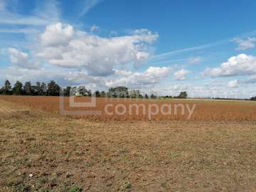 Ackerbau in Parndorf