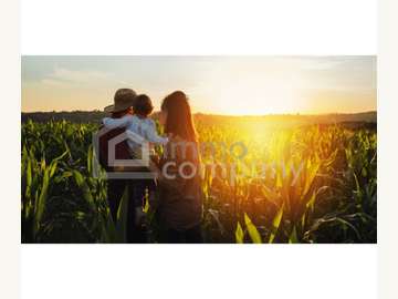 Baugrundstück in Mühldorf bei Feldbach