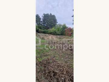 Baugrundstück in Wien Bild 04