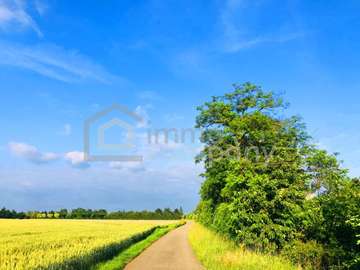 Landwirtschaftsgrund in Zurndorf