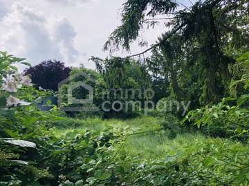 Baugrundstück in Mitterndorf an der Fischa