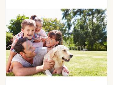 Grundstück in Dillach Bild 02