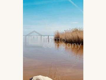 Ferienhaus in Purbach am Neusiedler See Bild 07