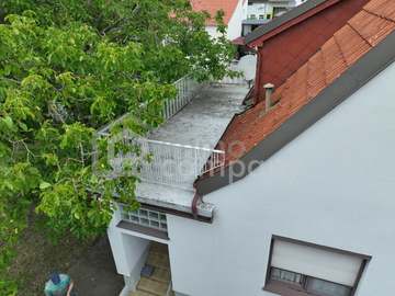 Haus in Trautmannsdorf an der Leitha Bild 04