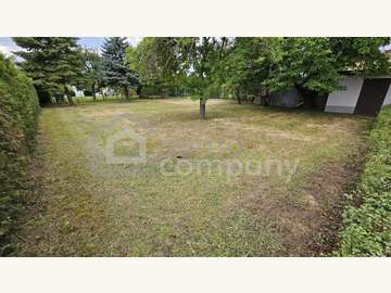 Haus in Trautmannsdorf an der Leitha Bild 08