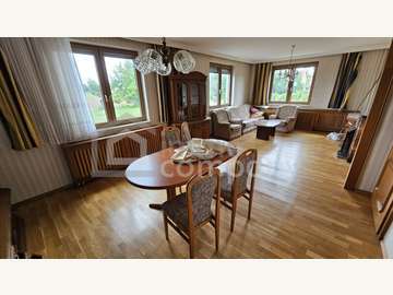 Haus in Trautmannsdorf an der Leitha Bild 11