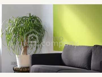 Wohnung in Wiener Neustadt