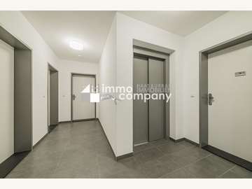 Wohnung in Wien Bild 08