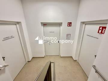 Wohnung in Wien Bild 06