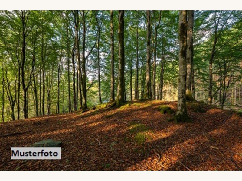 Landwirtschaftsgrund in Kukmirn