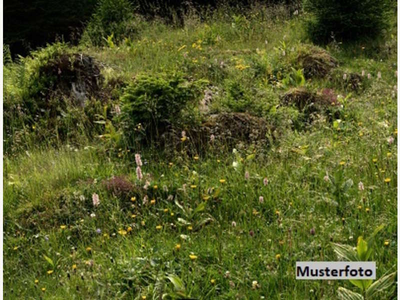 Landwirtschaftsgrund in Mürzzuschlag
