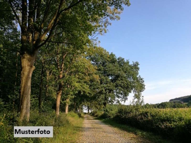 Landwirtschaftsgrund in Bruck an der Mur