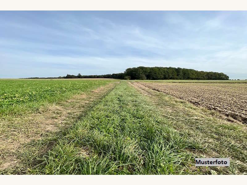 Landwirtschaftsgrund in Götzis