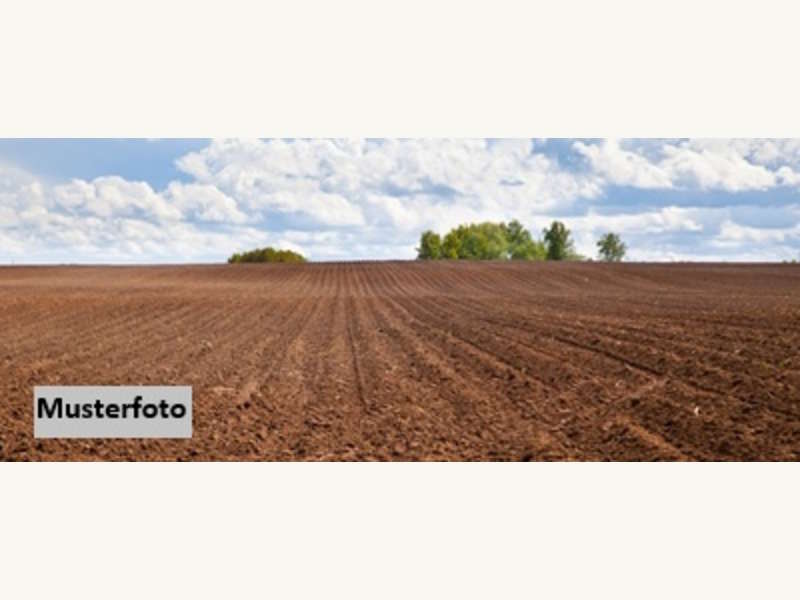 Landwirtschaftsgrund in Auerbach