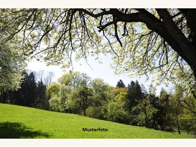 Landwirtschaftsgrund in Gallbrunn