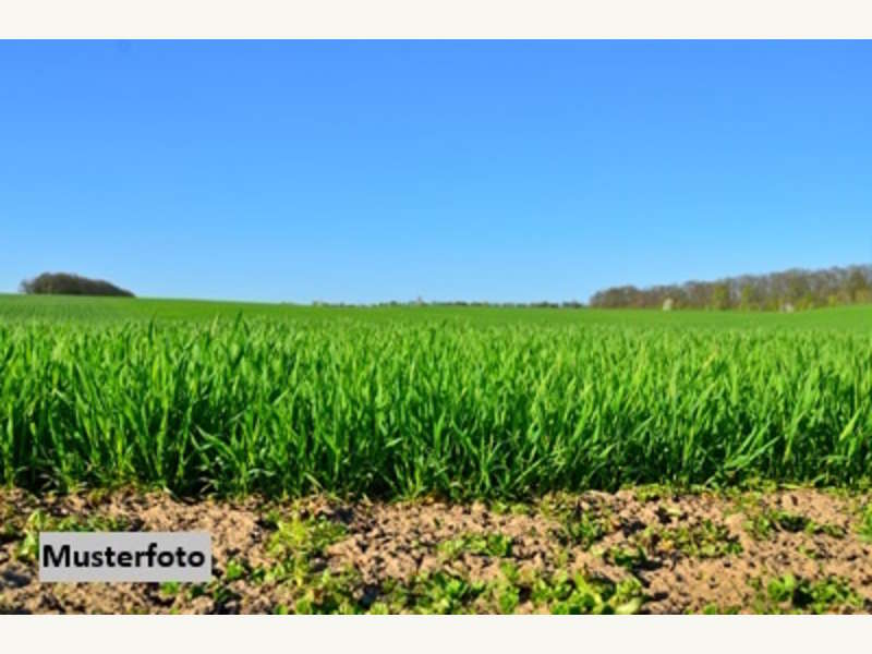 Landwirtschaftsgrund in Illmitz