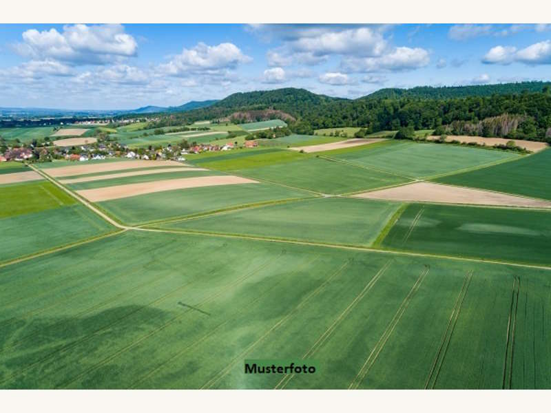 Landwirtschaftsgrund in Wartmannstetten