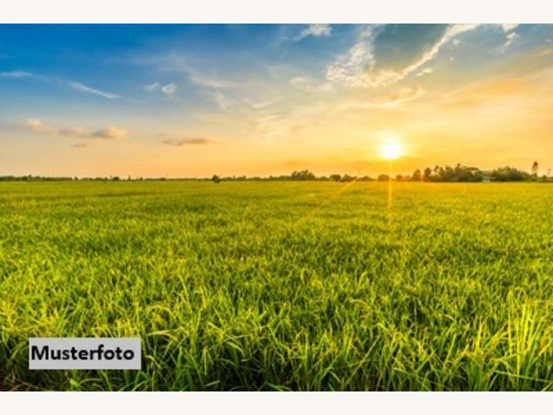 Landwirtschaftsgrund in Illmitz