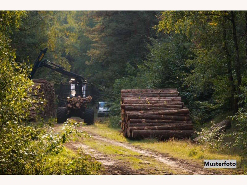 Landwirtschaftsgrund in Natschbach