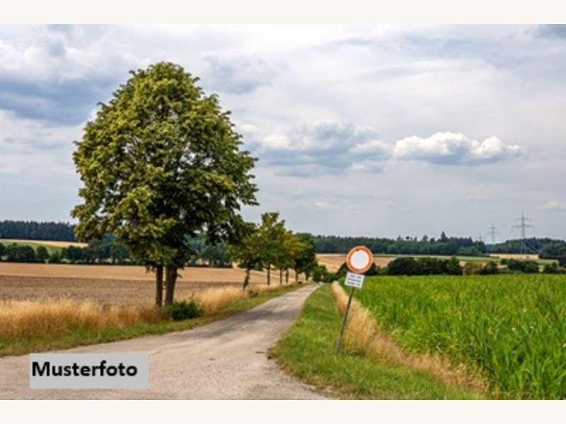 Landwirtschaftsgrund in Silbertal