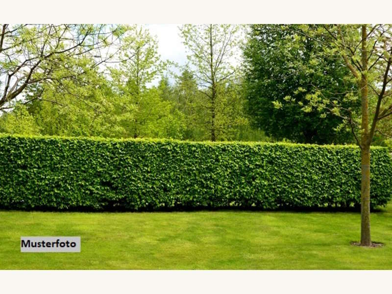 Freizeitgrundstück in Münchendorf