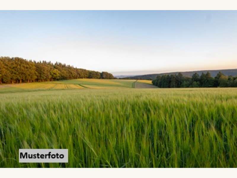 Landwirtschaftsgrund in Staasdorf