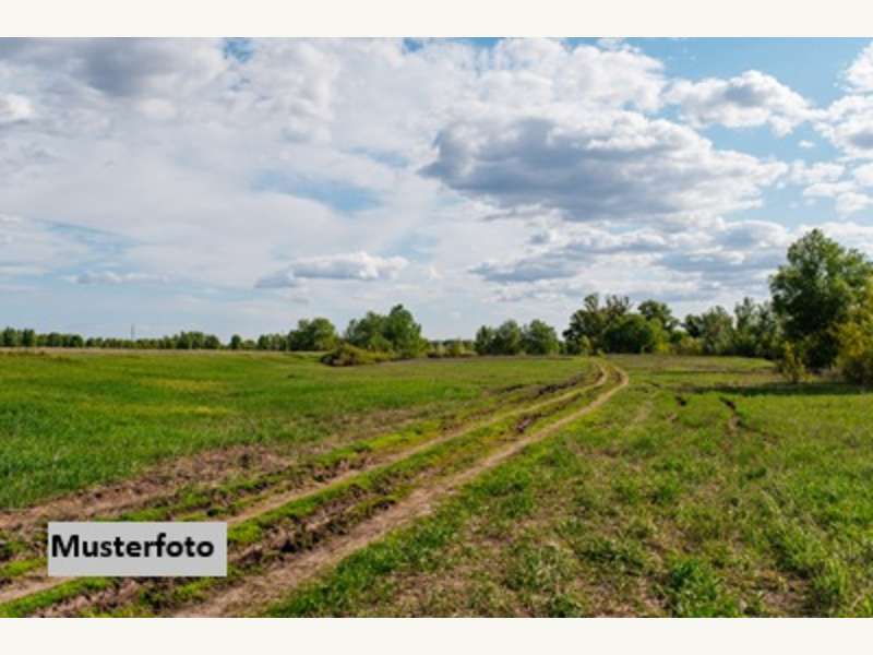 Landwirtschaftsgrund in Wartmannstetten