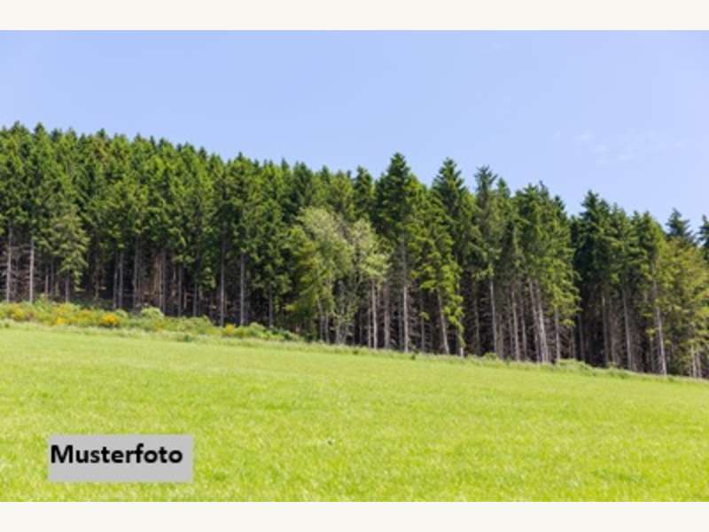 Landwirtschaftsgrund in St.Gerogen am Walde