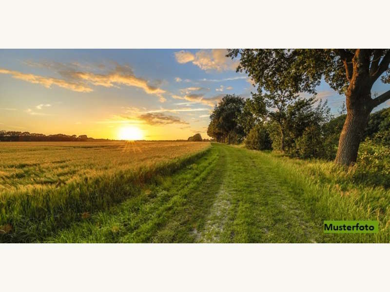 Landwirtschaftsgrund in Pinkafeld