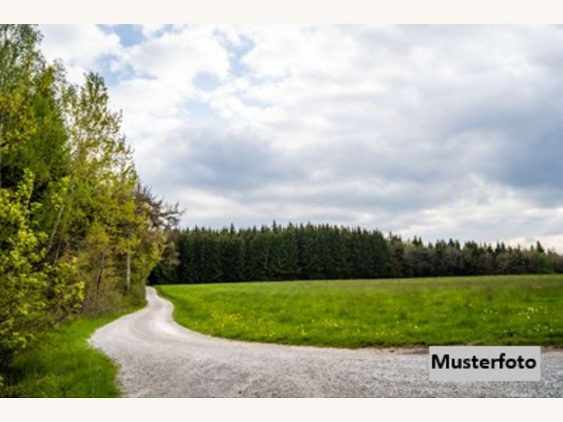 Landwirtschaftsgrund in Heiligenkreuz am Waasen