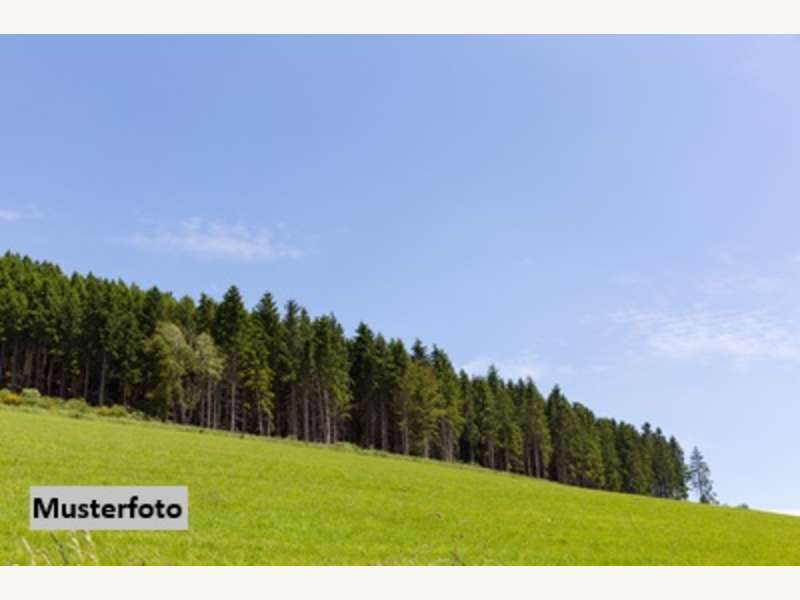 Landwirtschaftsgrund in Langenlois