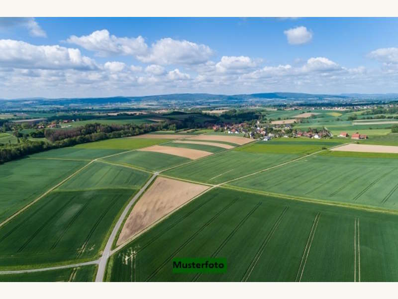 Landwirtschaftsgrund in Auerbach