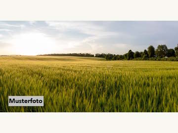 Halle in Muthmannsdorf,  angrenzend an Dreistetten