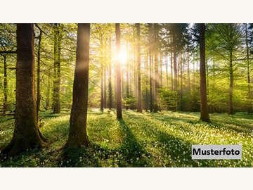 Landwirtschaftsgrund in Zahling