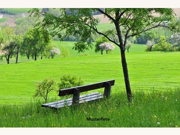 Landwirtschaftsgrund in Obernalb