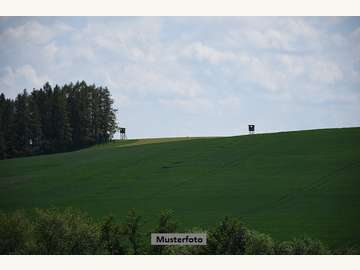 Landwirtschaftsgrund in Karlstein an der Thaya