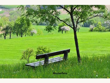 Landwirtschaftsgrund in Westendorf
