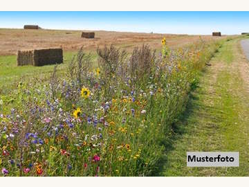 Landwirtschaftsgrund in Kirchberg in Tirol