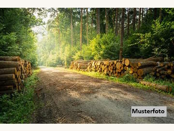 Landwirtschaftsgrund in Inzing