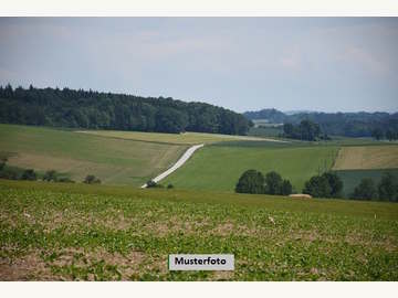 Landwirtschaftsgrund in Obernalb