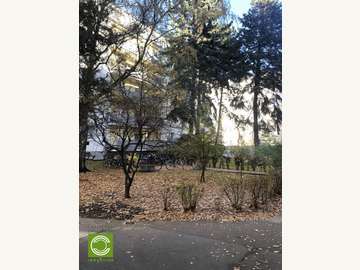 Wohnung in Wien Bild 10