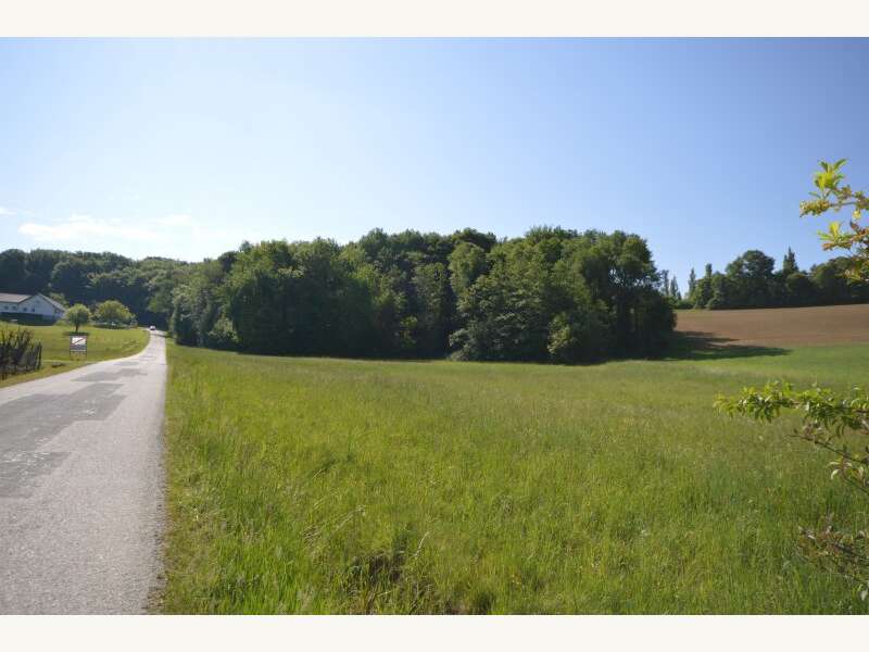 Baugrundstück in Limbach