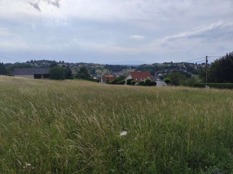 Baugrundstück in Oberdorf im Burgenland
