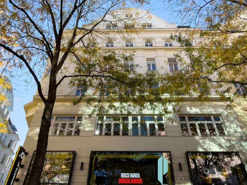 Büro/Praxis in Wien