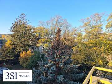 Wohnung in Wien Bild 10