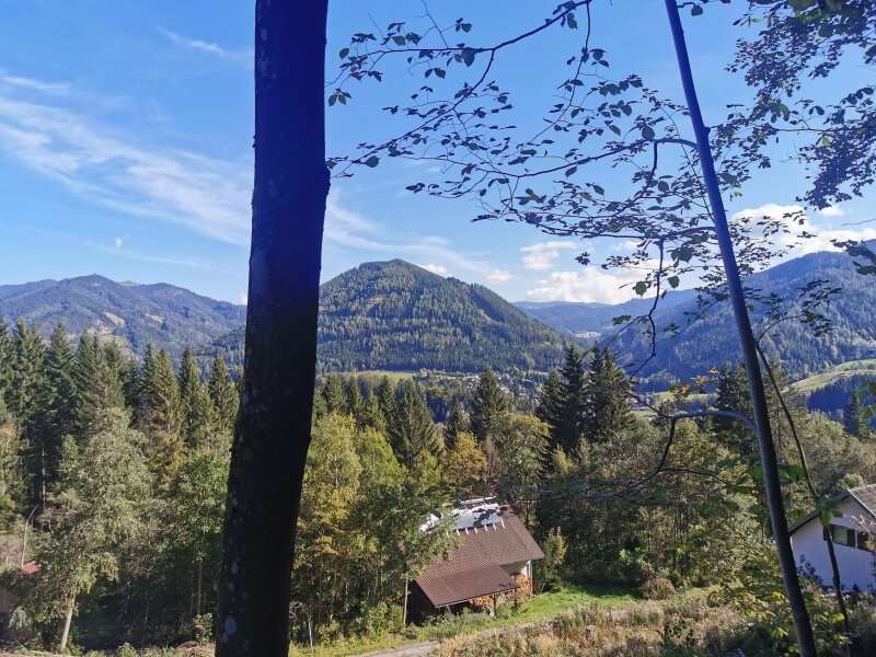 Baugrundstück in Spital am Semmering