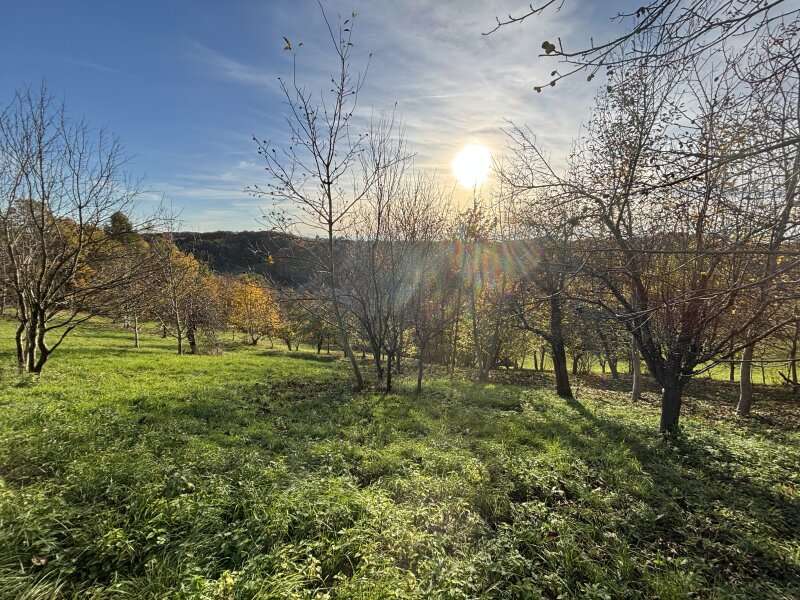 Landwirtschaftsgrund in Ruppersdorf