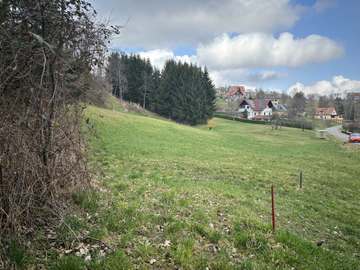Landwirtschaftsgrund in Gossendorf Bild 01