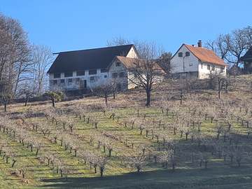 Bauernhaus in Sankt Peter am Ottersbach