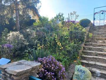 Bungalow in Raschala Bild 24